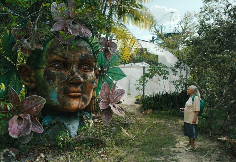  DKF Seniora, Film DKF „GAG”_ Senior: Błękitny szlak