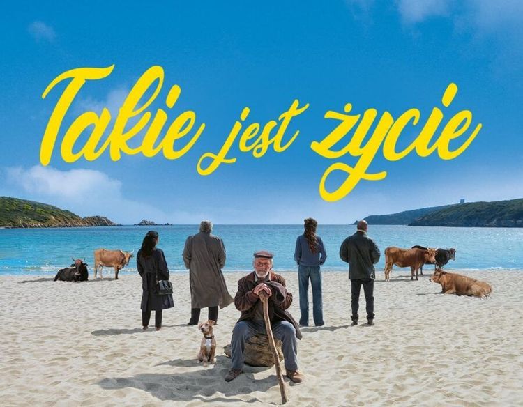 Premiera: Takie jest życie