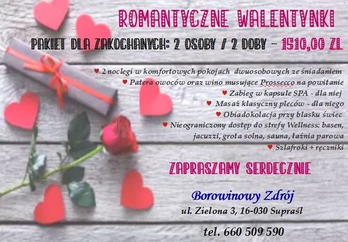 Romantyczne Walentynki /Hotel Borowinowy Zdrój 