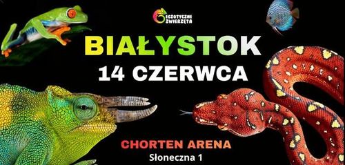 BIAŁYSTOK 14 CZERWCA - TERRARYSTYKA I AKWARYSTYKA