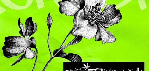 KONCERT!/TheMoralizacja/Power of Love/SOR/