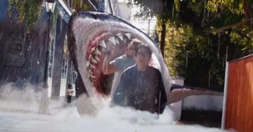 Najlepsze z Najgorszych: Big Shark